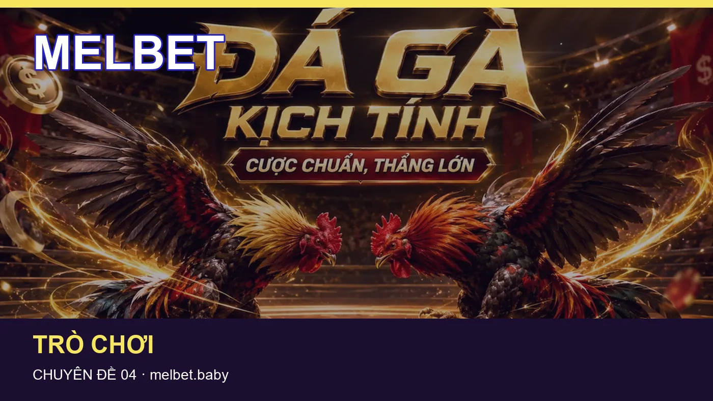 Bảo vệ dữ liệu cá nhân khi tìm hiểu An toàn tại MELBET